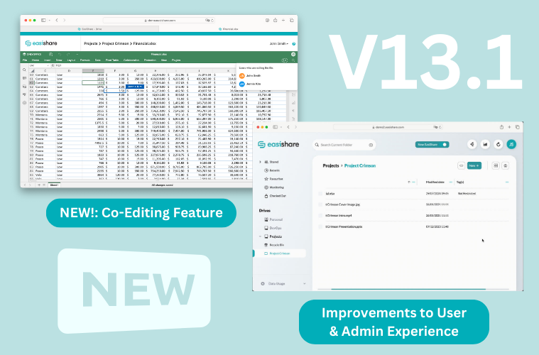 Read more about the article Version 13.1